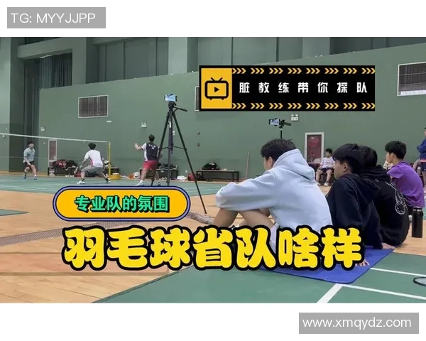 赛后复盘分析北京羽毛球队与西安羽毛球队的技术对抗与战术运用